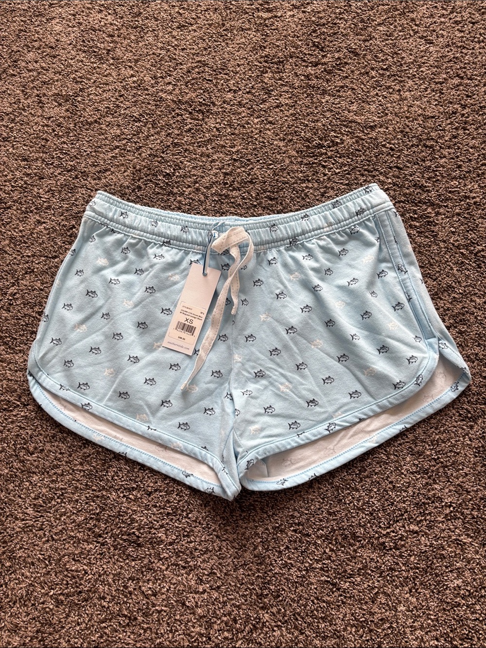 Women's Light Blue Printed Shorts